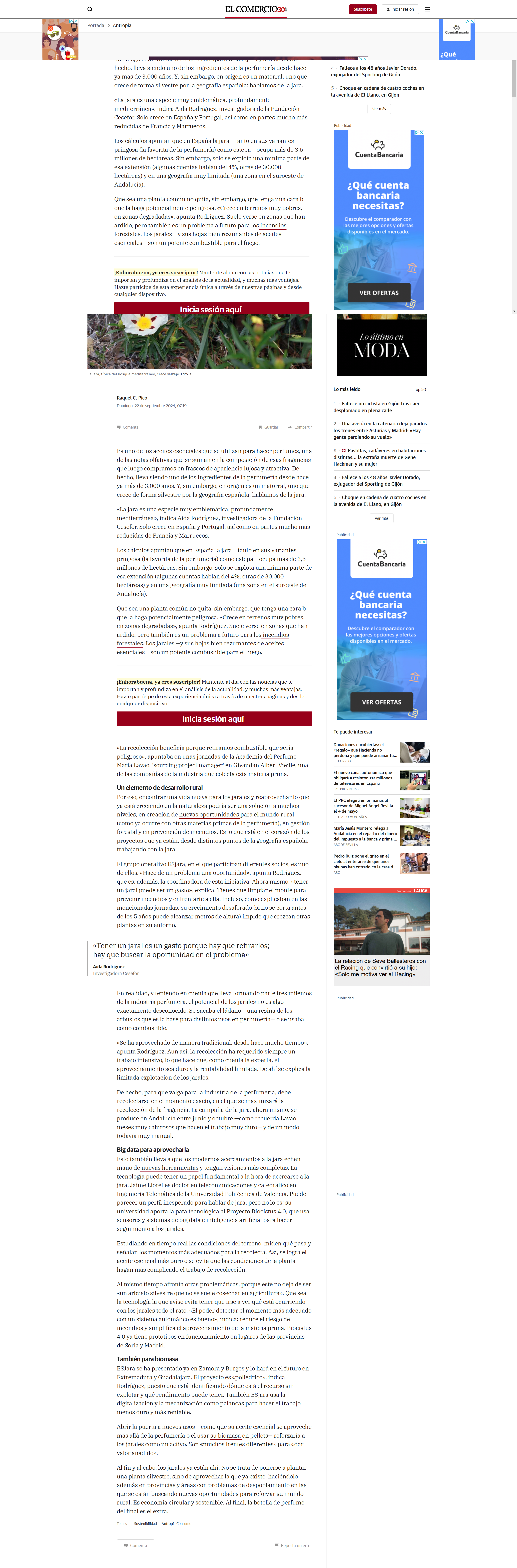 El Comercio