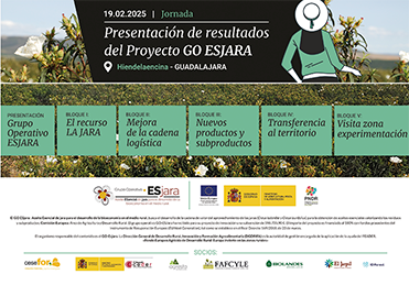 Newsletter Especial 02 | DETALLES JORNADA
