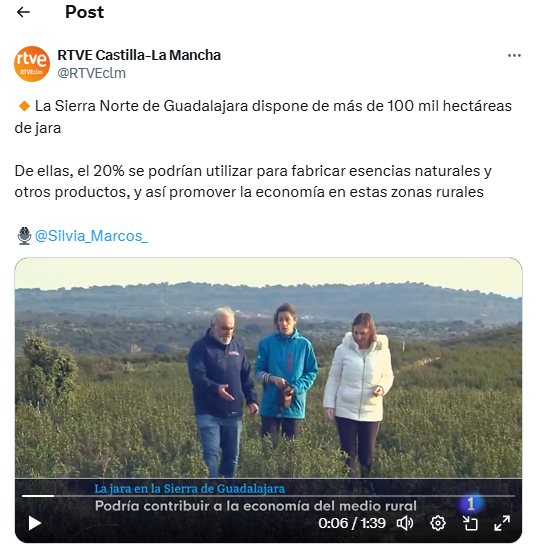 X rtve Castilla-La Mancha