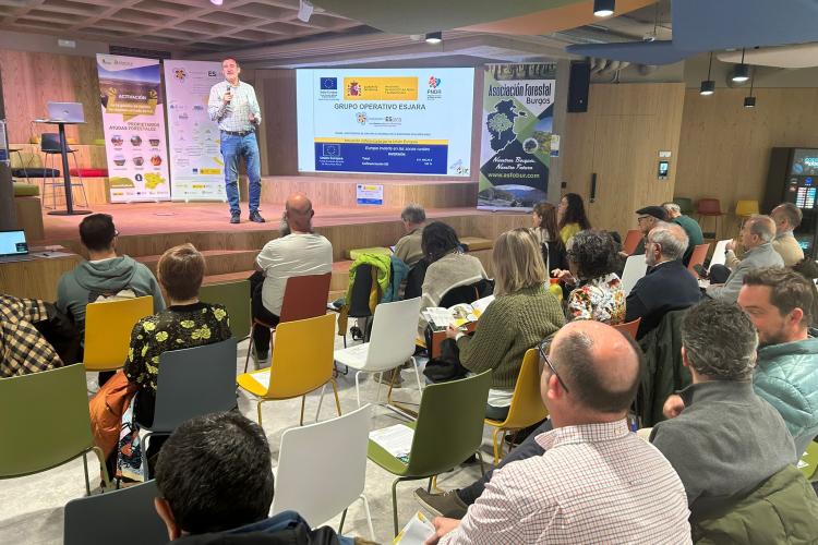 presentación