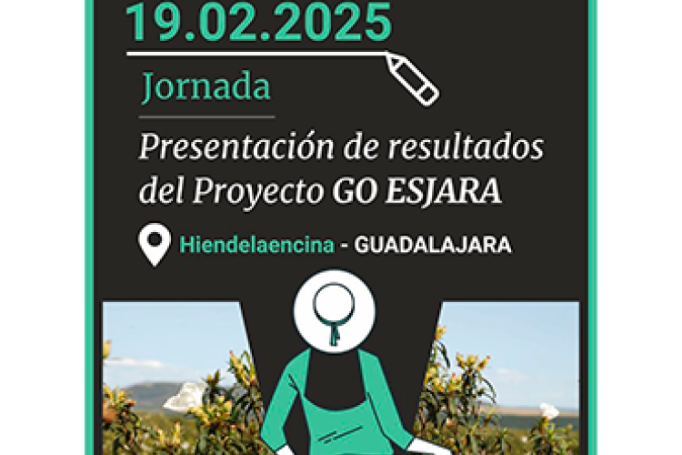Newsletter Especial 01 | JORNADA FINAL