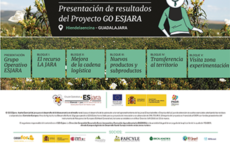 Newsletter Especial 02 | DETALLES JORNADA